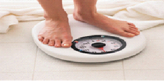 Holiday Survival Guide