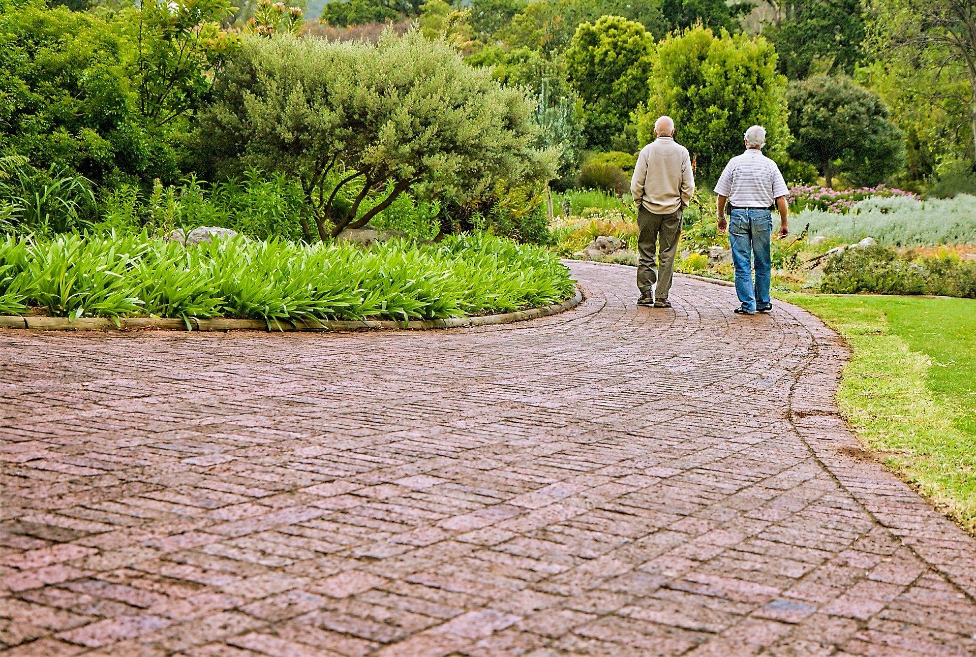 How Elderly Companion Services Can Improve Seniors’ Health